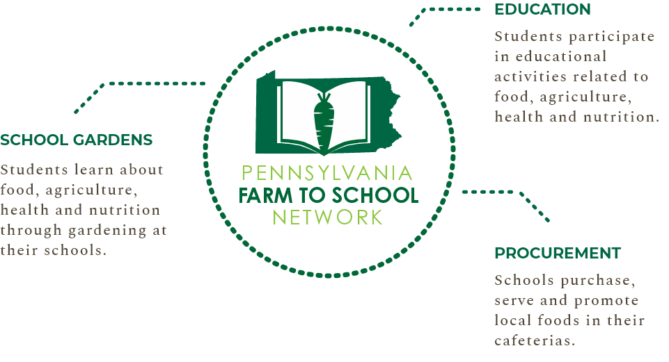 Description of F2S network.